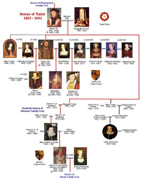 list of tudor monarchs|henry tudor family tree.